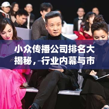 小众传播公司排名大揭秘，行业内幕与市场现状探究