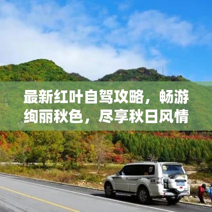 最新红叶自驾攻略，畅游绚丽秋色，尽享秋日风情盛宴