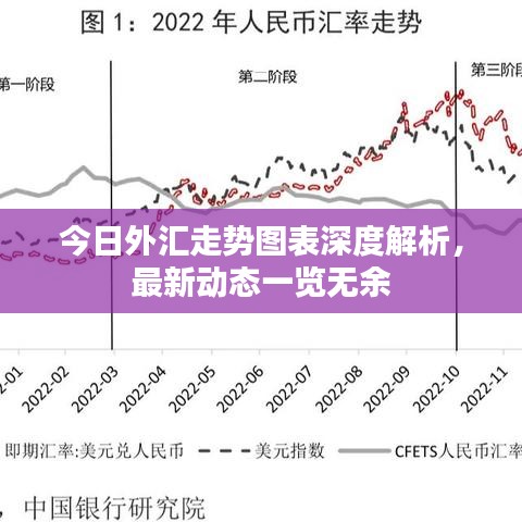 今日外汇走势图表深度解析，最新动态一览无余