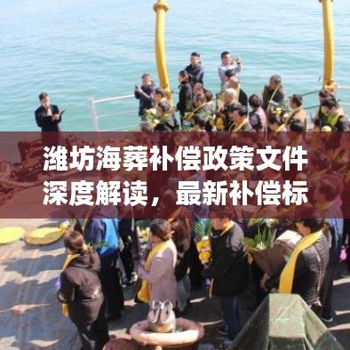 潍坊海葬补偿政策文件深度解读，最新补偿标准揭秘