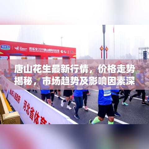 唐山花生最新行情，价格走势揭秘，市场趋势及影响因素深度剖析