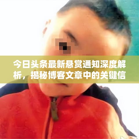 今日头条最新悬赏通知深度解析，揭秘博客文章中的关键信息