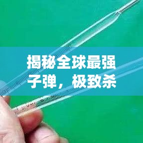 揭秘全球最强子弹，极致杀伤力与卓越性能探究