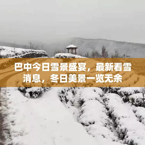 巴中今日雪景盛宴，最新看雪消息，冬日美景一览无余