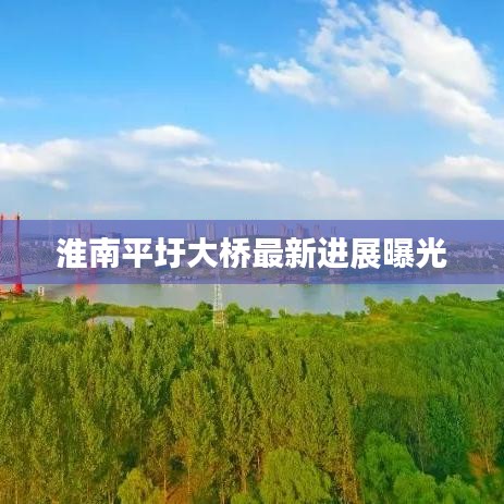 淮南平圩大桥最新进展曝光