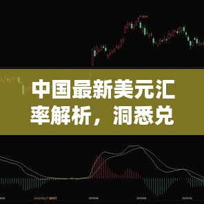 中国最新美元汇率解析，洞悉兑换动态，深度分析与探讨