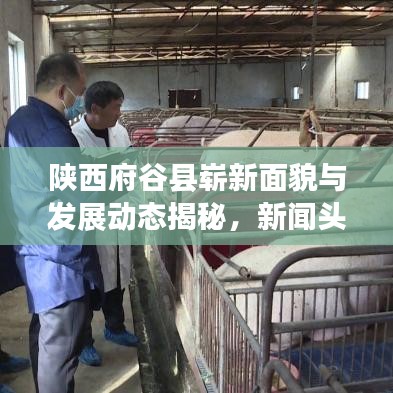 陕西府谷县崭新面貌与发展动态揭秘，新闻头条探寻之旅