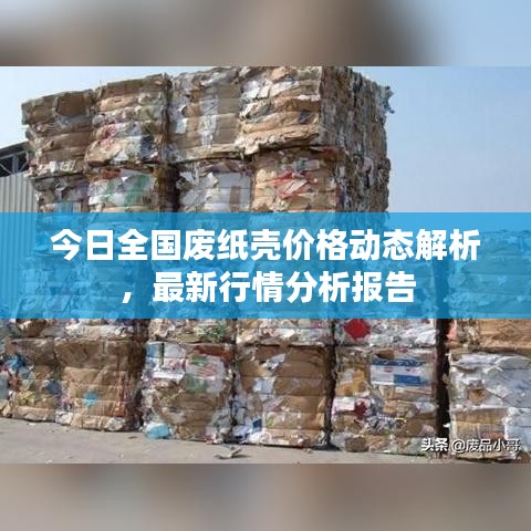 今日全国废纸壳价格动态解析，最新行情分析报告