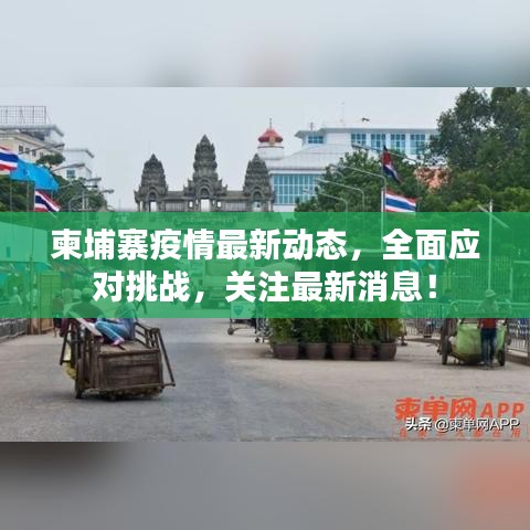 柬埔寨疫情最新动态，全面应对挑战，关注最新消息！