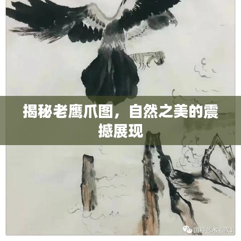 揭秘老鹰爪图，自然之美的震撼展现