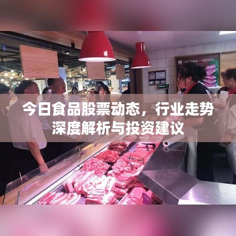 今日食品股票动态，行业走势深度解析与投资建议