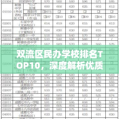 双流区民办学校排名TOP10，深度解析优质教育资源分布