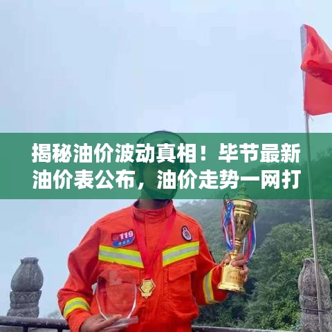 揭秘油价波动真相！毕节最新油价表公布，油价走势一网打尽！