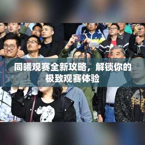 同曦观赛全新攻略，解锁你的极致观赛体验