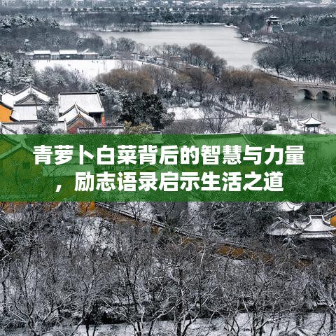 青萝卜白菜背后的智慧与力量，励志语录启示生活之道