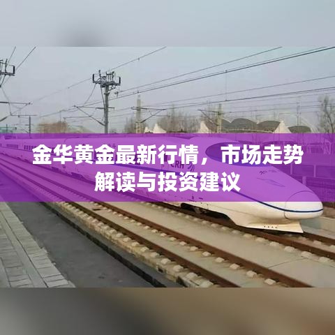 金华黄金最新行情，市场走势解读与投资建议