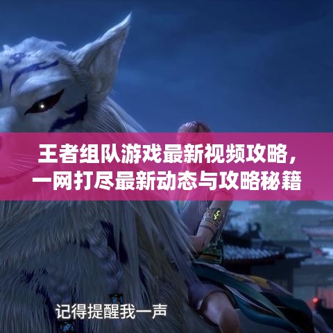 王者组队游戏最新视频攻略，一网打尽最新动态与攻略秘籍！