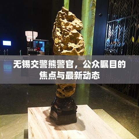 无锡交警熊警官，公众瞩目的焦点与最新动态