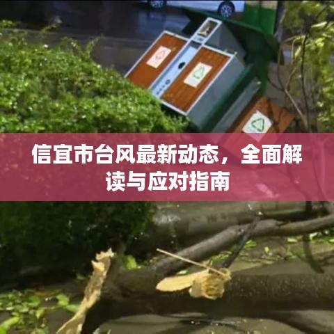 信宜市台风最新动态，全面解读与应对指南