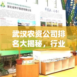 武汉农资公司排名大揭秘，行业领军者一览无余！