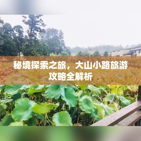 秘境探索之旅，大山小路旅游攻略全解析