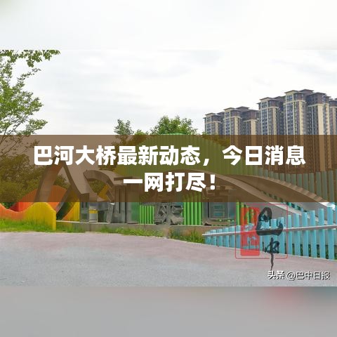 巴河大桥最新动态，今日消息一网打尽！