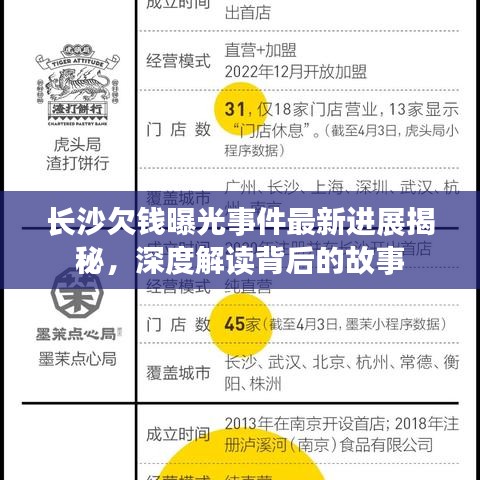 长沙欠钱曝光事件最新进展揭秘，深度解读背后的故事