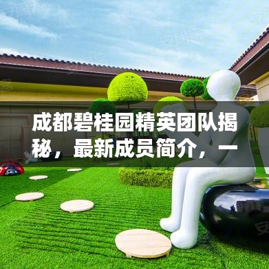成都碧桂园精英团队揭秘，最新成员简介，一探神秘面纱