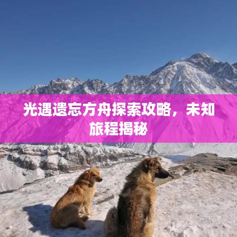光遇遗忘方舟探索攻略，未知旅程揭秘