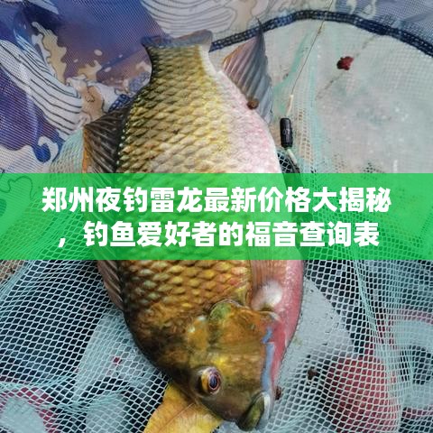 郑州夜钓雷龙最新价格大揭秘，钓鱼爱好者的福音查询表
