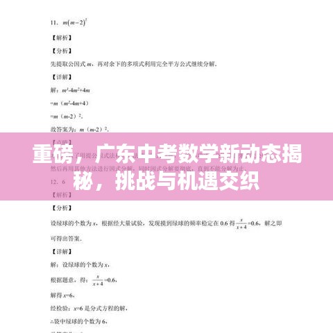 重磅，广东中考数学新动态揭秘，挑战与机遇交织