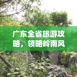 广东全省旅游攻略，领略岭南风情，尽享绝佳体验