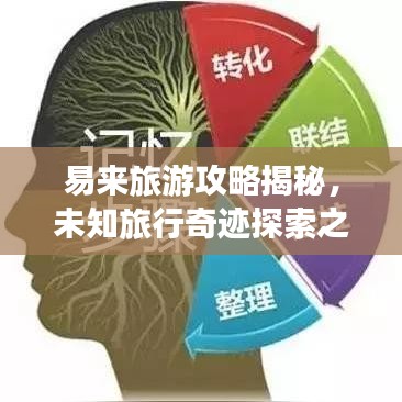 易来旅游攻略揭秘，未知旅行奇迹探索之旅