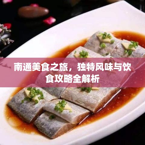 南通美食之旅，独特风味与饮食攻略全解析