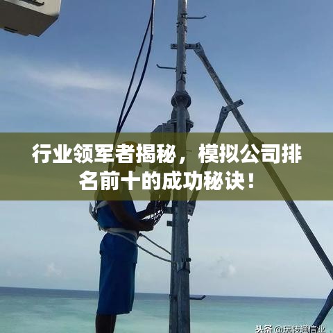 行业领军者揭秘，模拟公司排名前十的成功秘诀！