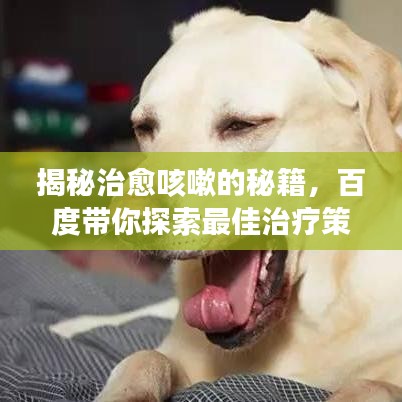 揭秘治愈咳嗽的秘籍，百度带你探索最佳治疗策略