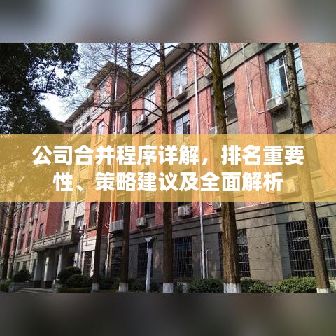 公司合并程序详解，排名重要性、策略建议及全面解析