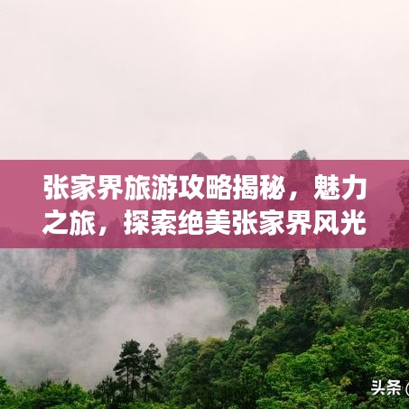 张家界旅游攻略揭秘，魅力之旅，探索绝美张家界风光