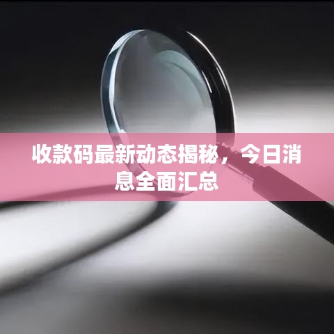 收款码最新动态揭秘，今日消息全面汇总
