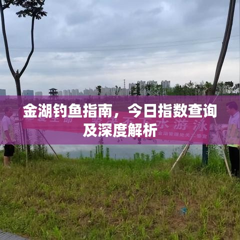金湖钓鱼指南，今日指数查询及深度解析