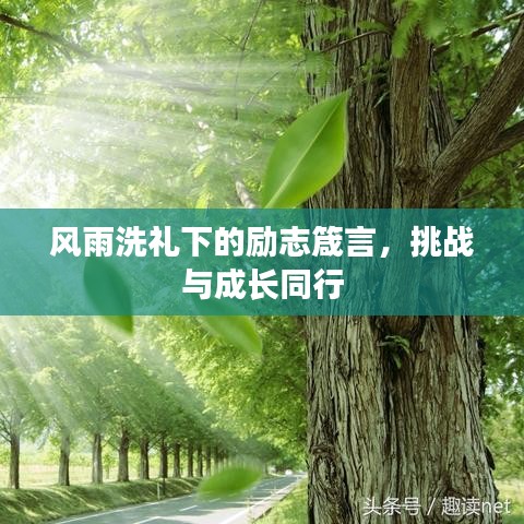 2025年6月12日 第2页