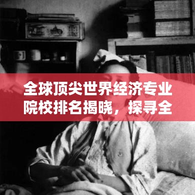 全球顶尖世界经济专业院校排名揭晓，探寻全球教育资源瑰宝榜单！