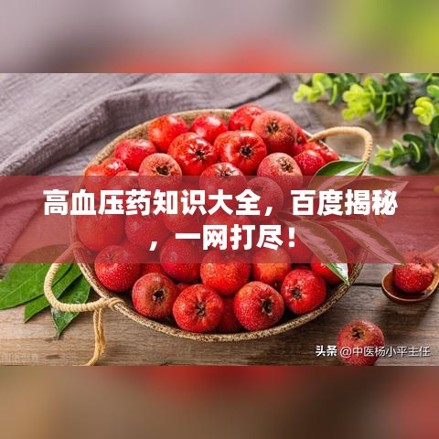 高血压药知识大全，百度揭秘，一网打尽！