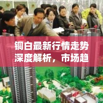 铜白最新行情走势深度解析，市场趋势分析与未来展望