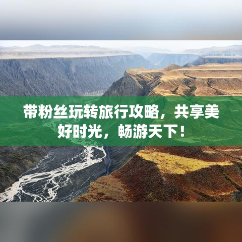 带粉丝玩转旅行攻略，共享美好时光，畅游天下！