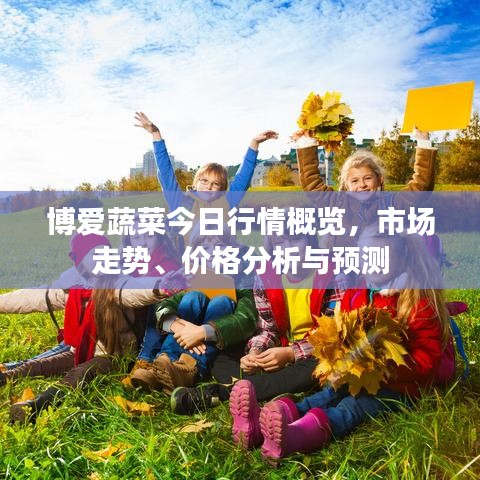 博爱蔬菜今日行情概览，市场走势、价格分析与预测