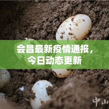 会昌最新疫情通报，今日动态更新