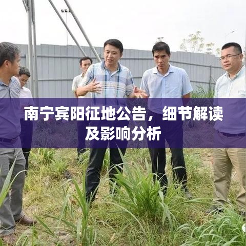 南宁宾阳征地公告，细节解读及影响分析