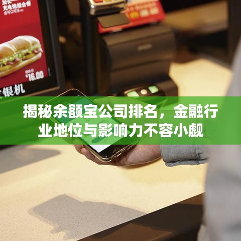 揭秘余额宝公司排名，金融行业地位与影响力不容小觑