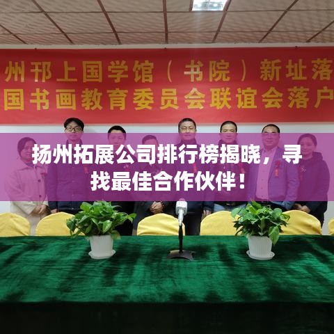 扬州拓展公司排行榜揭晓，寻找最佳合作伙伴！